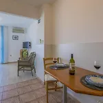 Blue Pearl Apartment